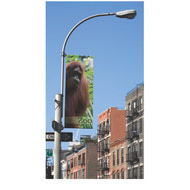 Street Pole Banner